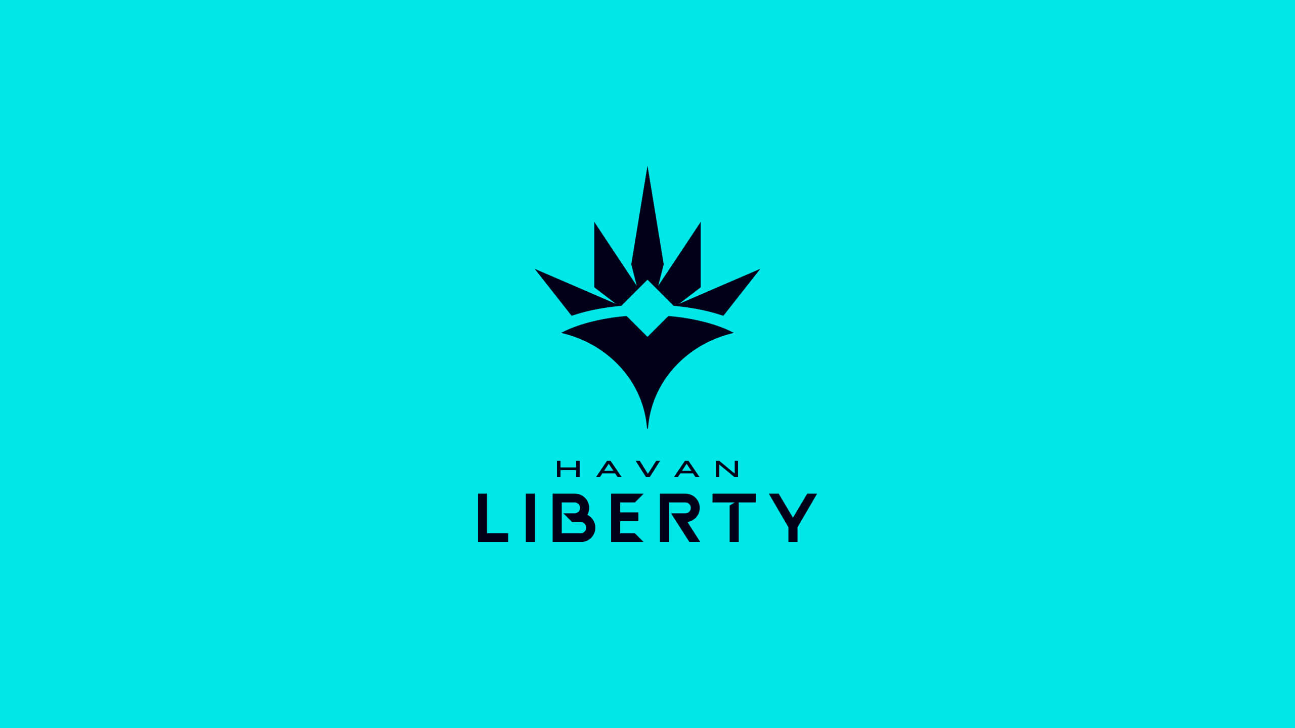 firmorama_havan-liberty_03